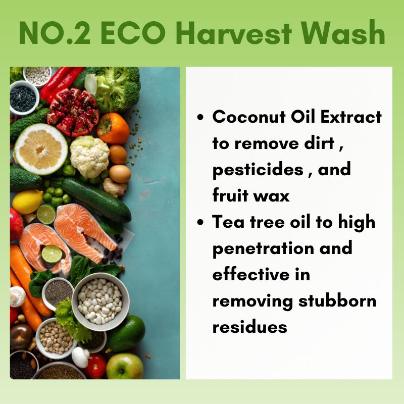 Eco Friendly Cleaning Solution Eco Smart Wash NO.2 Eco Harvest Wash ECO SMART WASH LIAHOME