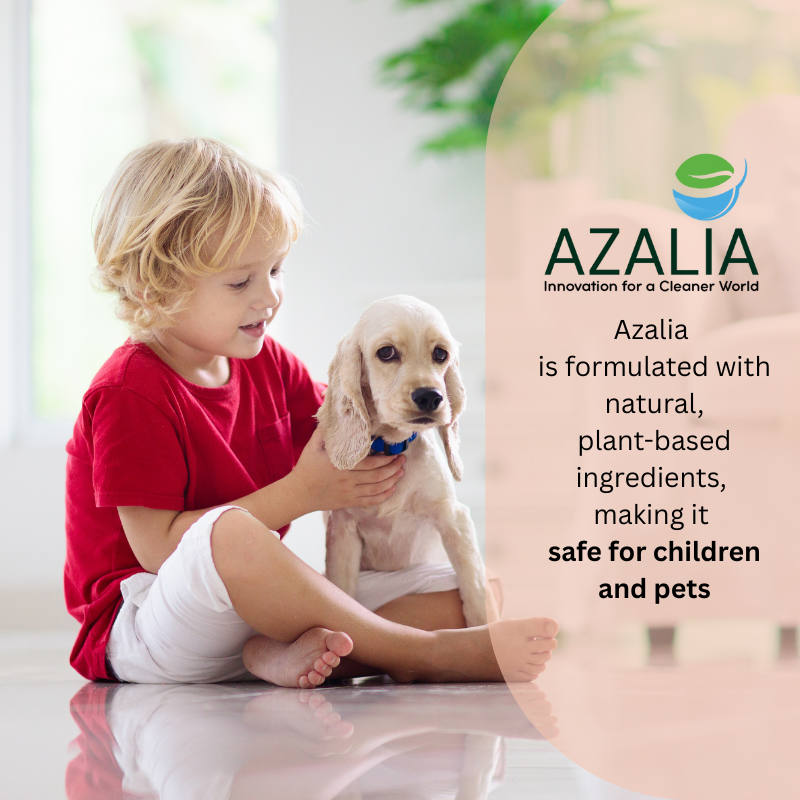 3-Hour Home Cleaning Singapore Pet-friendly & Child-safe