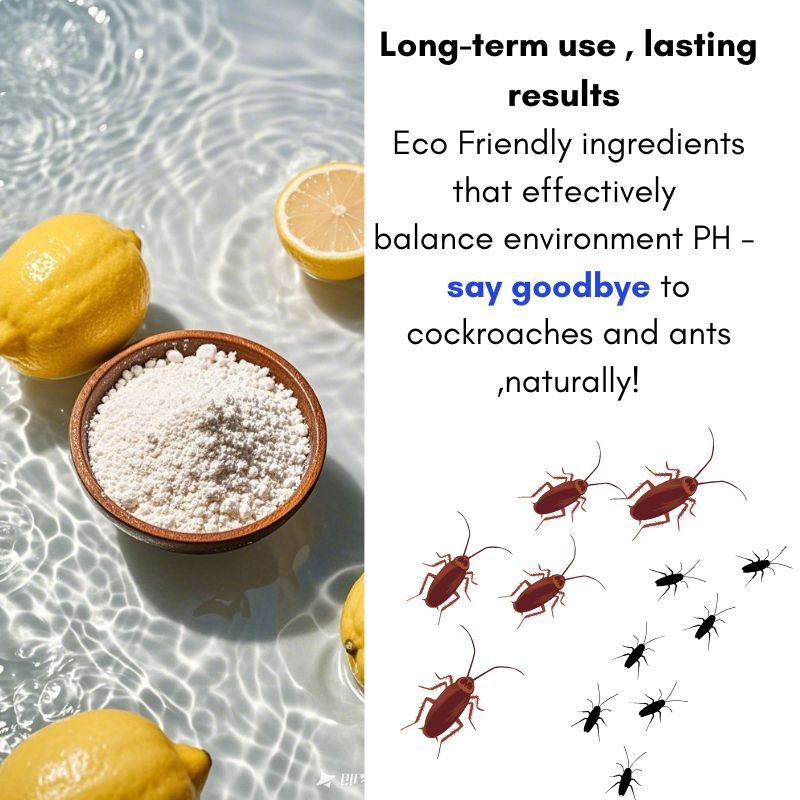 Eco Friendly Cleaning Solution Eco Smart Wash NO.1 Eco Living Wash ECO SMART WASH LIAHOME