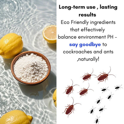 Eco Friendly Cleaning Solution Eco Smart Wash NO.1 Eco Living Wash ECO SMART WASH LIAHOME